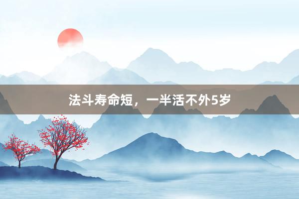 法斗寿命短，一半活不外5岁